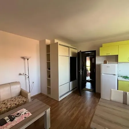 Oasis2 * ネセバル