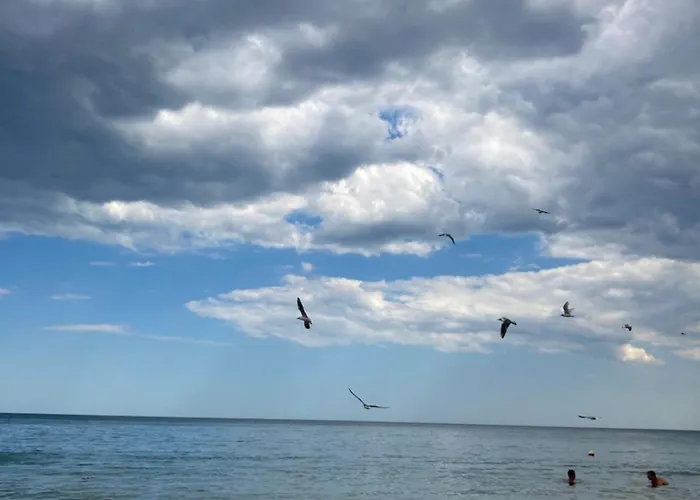 Oasis2 公寓 内塞伯尔